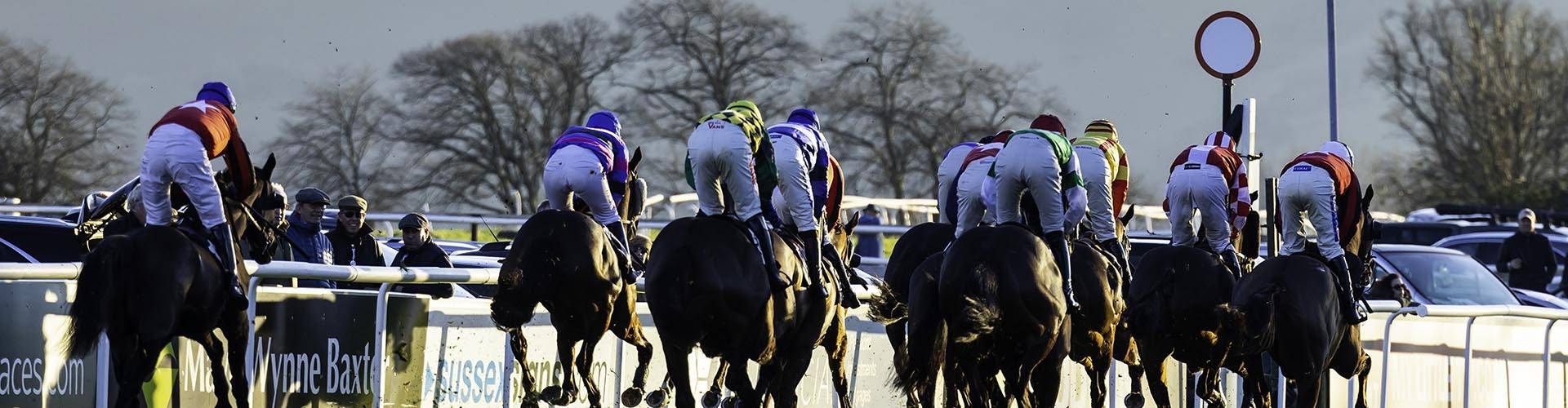Plumpton Racecourse Plumpton Racecourse