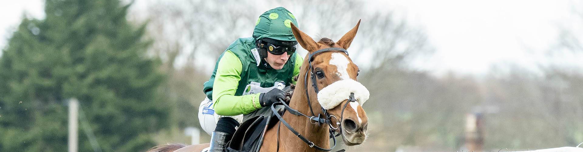 Plumpton Racecourse Plumpton Racecourse