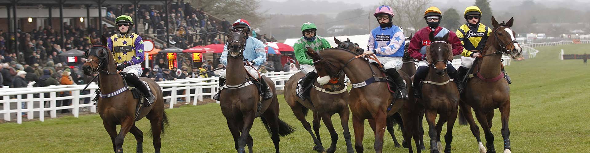 Plumpton Racecourse Plumpton Racecourse