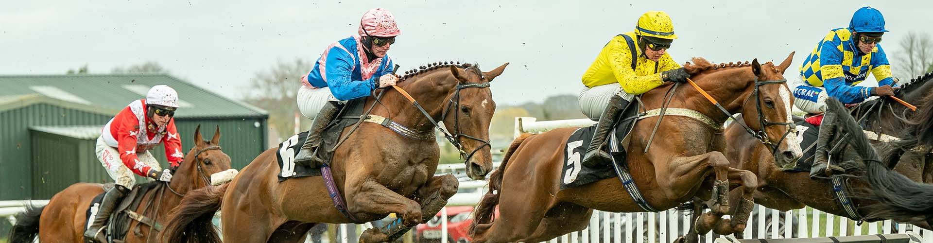 Plumpton Racecourse Plumpton Racecourse