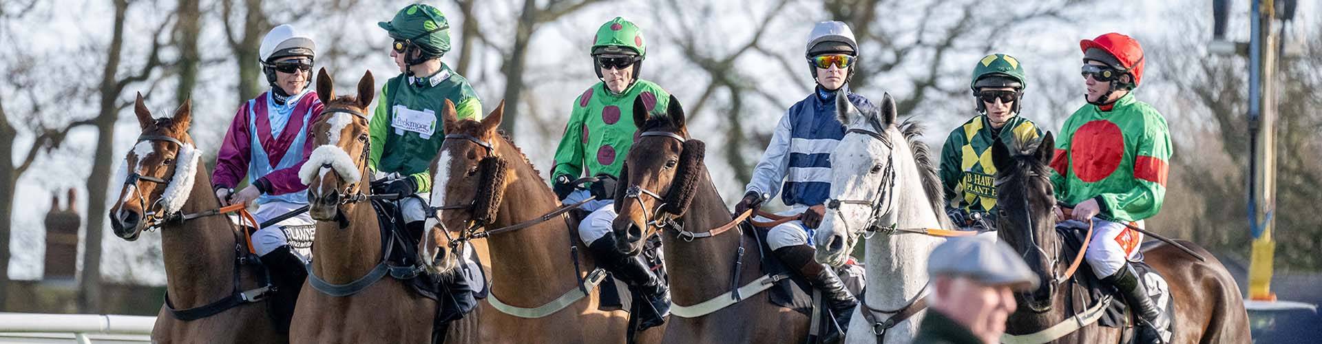 Plumpton Racecourse Plumpton Racecourse