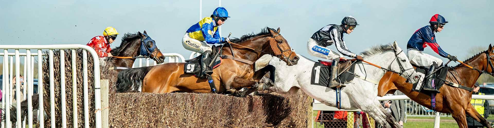 Plumpton Racecourse Plumpton Racecourse