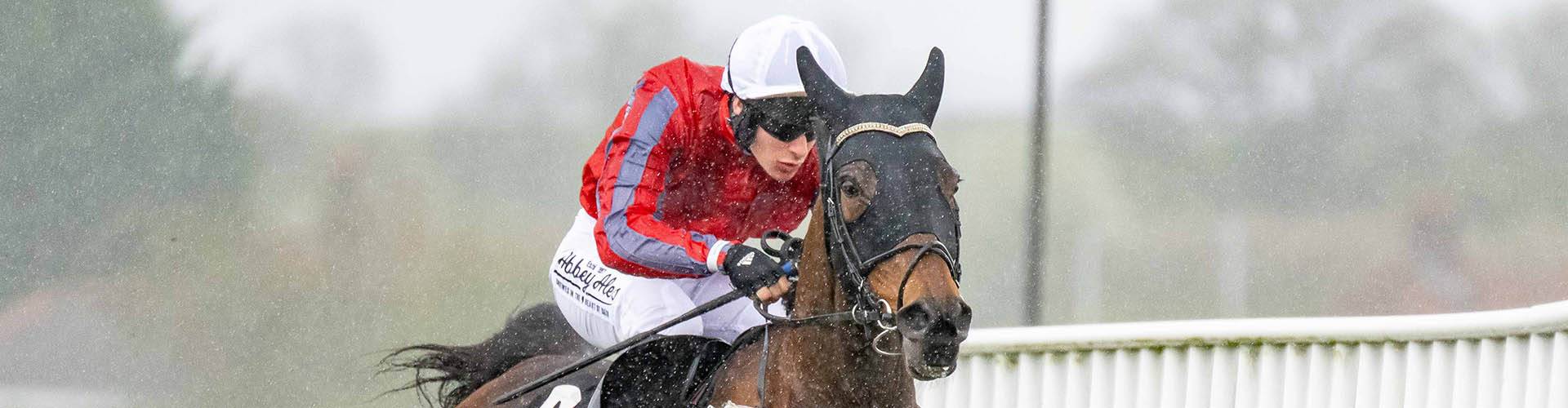 Plumpton Racecourse Plumpton Racecourse