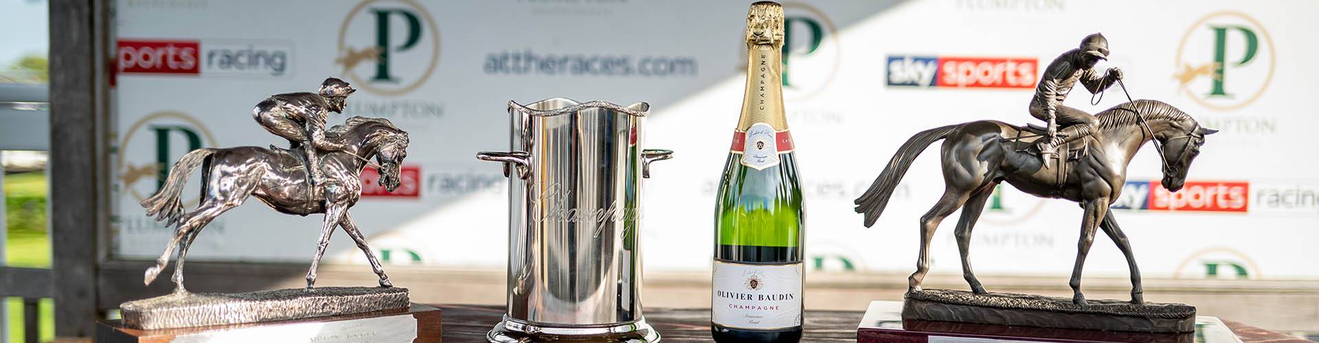 Plumpton Racecourse Plumpton Racecourse