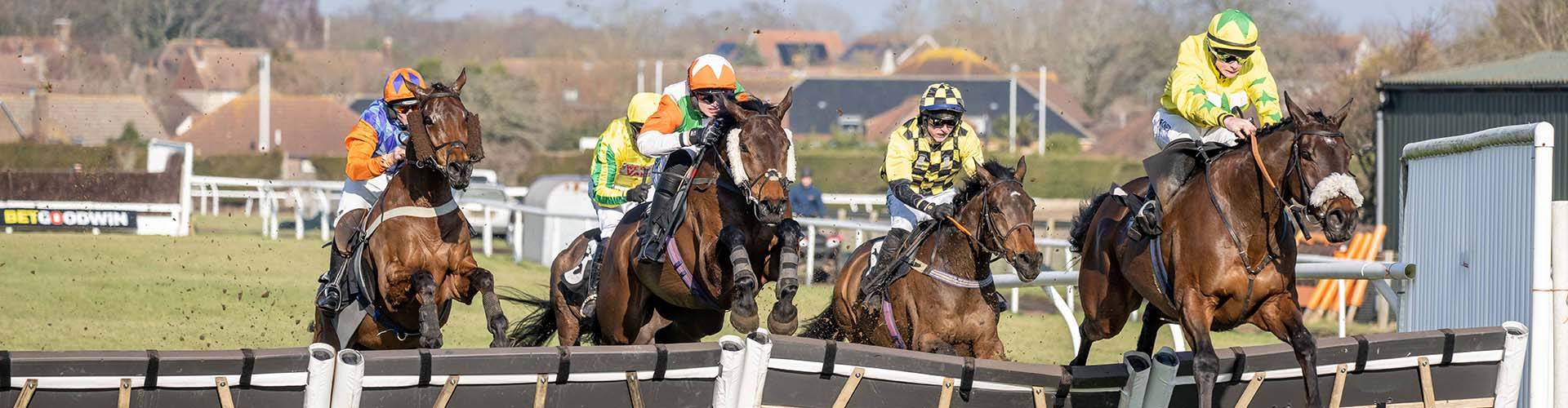 Plumpton Racecourse Plumpton Racecourse