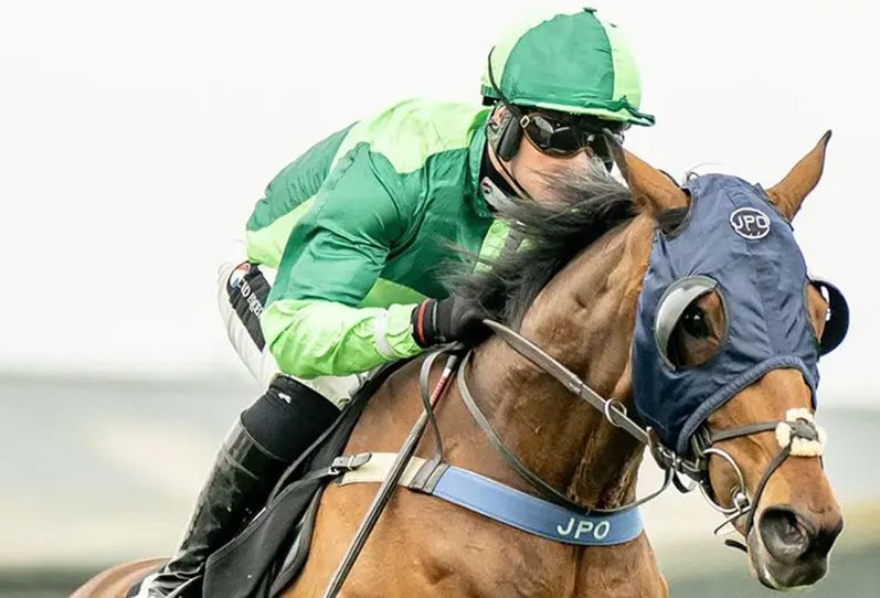 Horse and jockey
