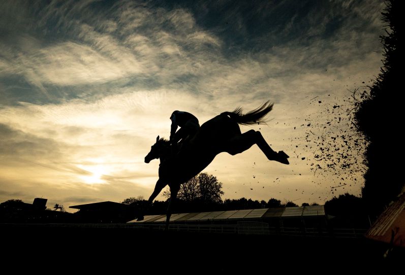 Silhouette of horse jumping 