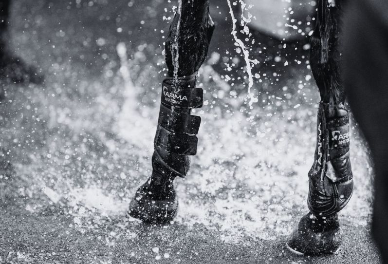 Horse being washed off