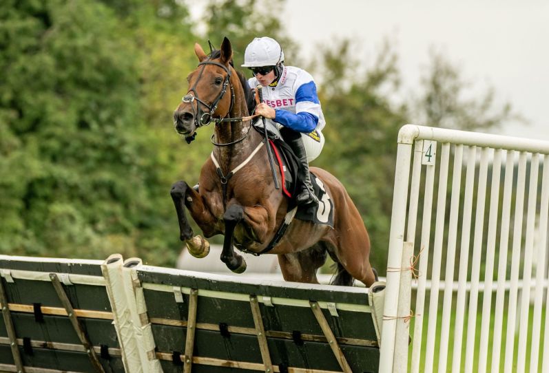 Horse over Hurdles at Plumpton Racecourse