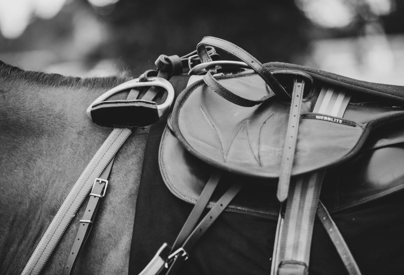 Racing Saddle - Copyright - Emily Morrill