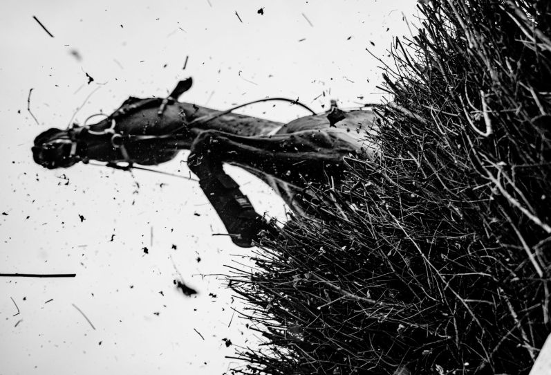 Racing at Plumpton 2026