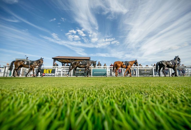 Parade Ring at Plumpton