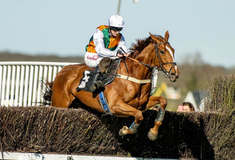 DARREN COOL - Sussex National - Havaila and Caoilin Quinn for Gary & Josh Moore and the Havaila Partnership