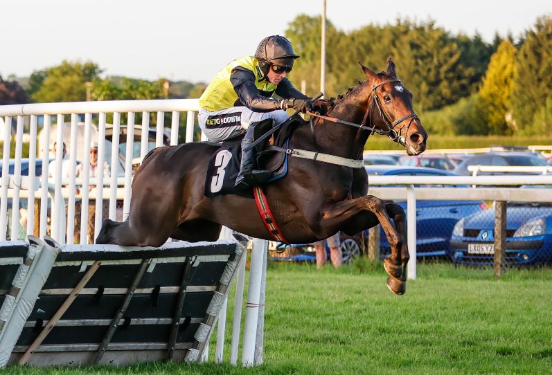 Tom Cannon on Goodwin Face wins the Kalm Club Everyone Welcome Handicap Hurdle
