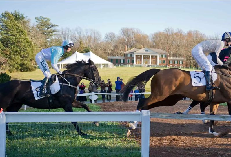 Montpelier Races 