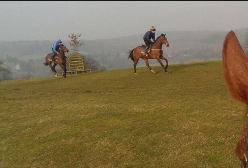 The Sheppard gallops at Eastnor