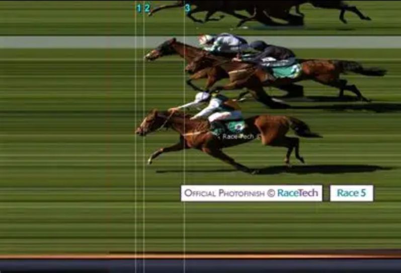Havaila short heads in the bet 365 Gold Cup