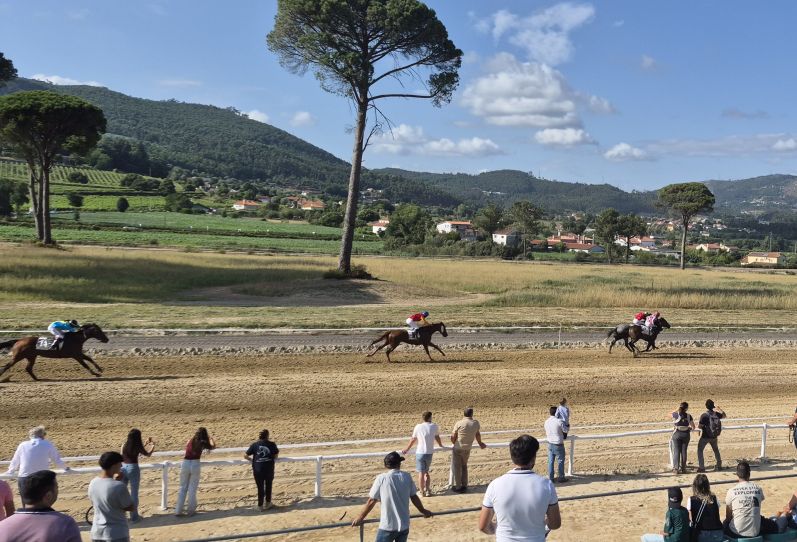Flat racing at Ponte de Lima, Portugal