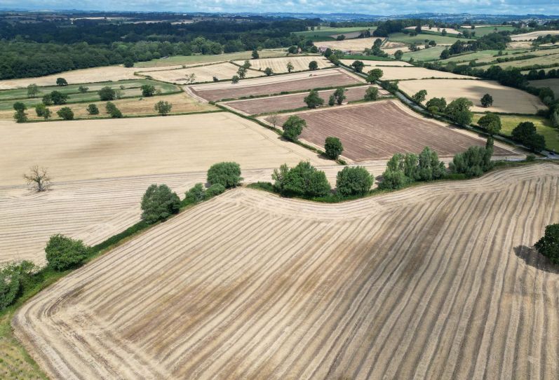 Parched Sussex ©inkle.com