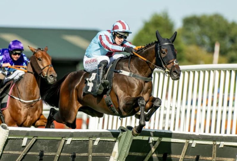 One Dimensional is a horse to follow