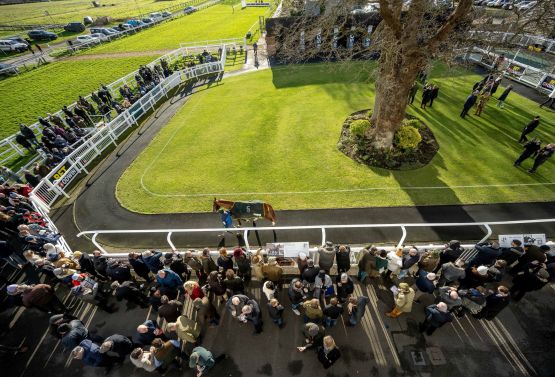 Areal photo of horse in the parade ring 