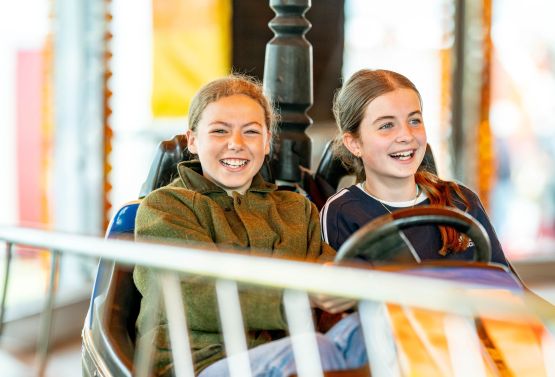 Bumper Cars