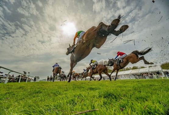 Horses after clearing a chase fence 