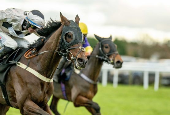 Horses in the Final Furlong at Plumpton Racecourse