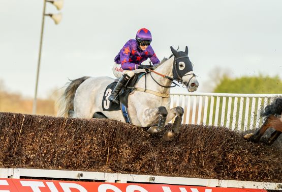 Sussex National 2025 - Invincible Nao