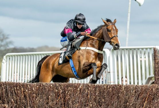 Sussex Champion Chase 2024