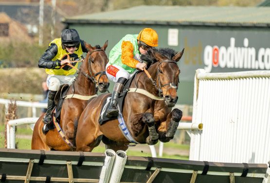 Champion Hurdle 2023