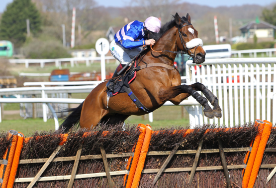 Diego Du Charmil 2021 Champion Hurdle