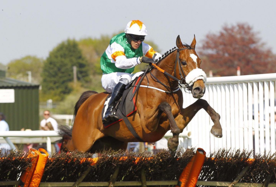 Fiesole 2019 Champion Hurdle