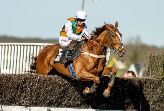 DARREN COOL - Sussex National - Havaila and Caoilin Quinn for Gary & Josh Moore and the Havaila Partnership