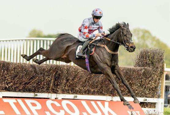 Sans Bruit and Jay Tidball for Paul Nicholls