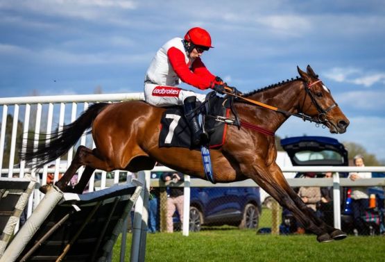 Indemnity + Ben Jones for Emma Lavelle