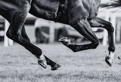 close up of horses legs galloping