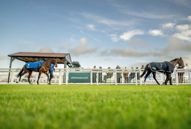 Horses in the Plumpton Parade Ring