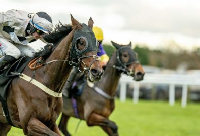 Horses in the Final Furlong at Plumpton Racecourse