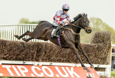 Sussex Champion Chase 2025