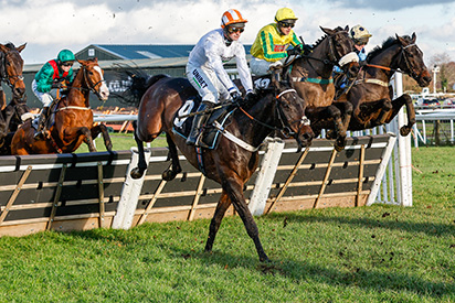BetGoodwin Sussex National Raceday BetGoodwin Sussex National Raceday