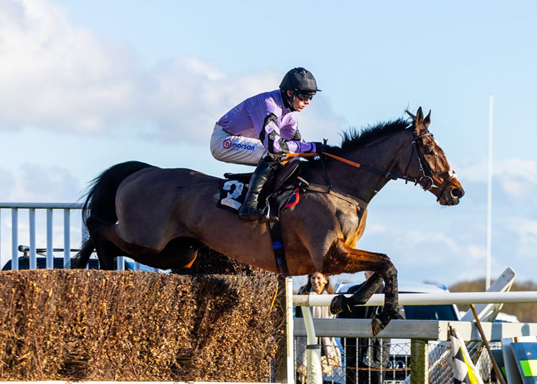Stage Star pictured jumping the last fence en route to a comfortable win