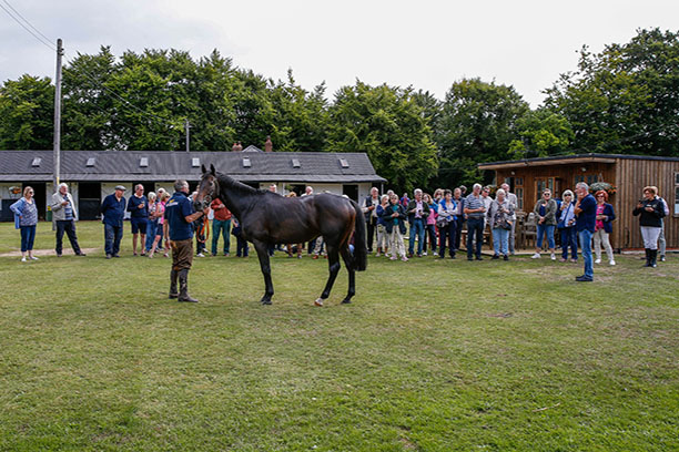 Membership of Plumpton Racecourse