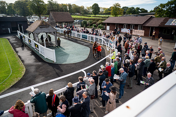 Paddock Restaurant at Plumpton Racecourse