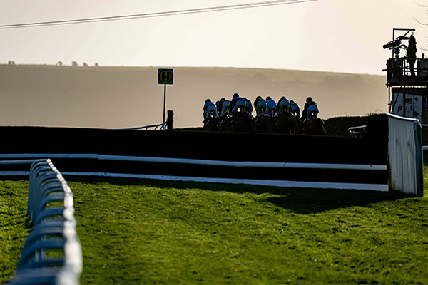 Festive Fun Raceday Family Raceday