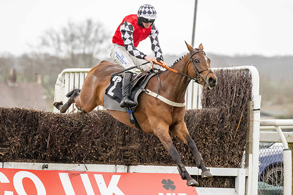 Spring Raceday – Monday, March 4 – Plumpton Racecourse Family Raceday
