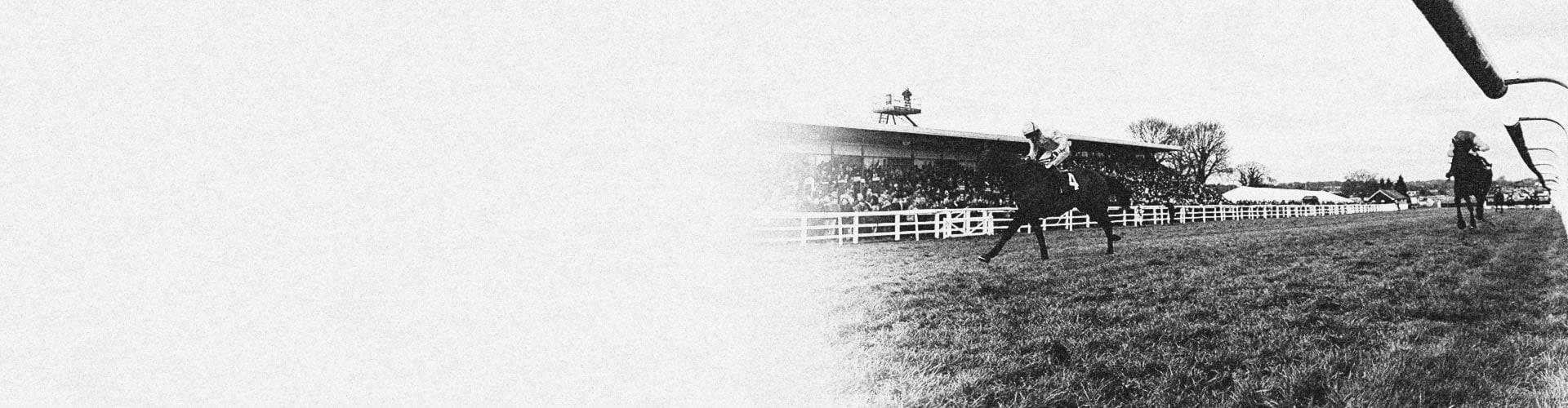 Plumpton Racecourse